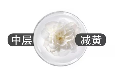 欧瑞莲护肤