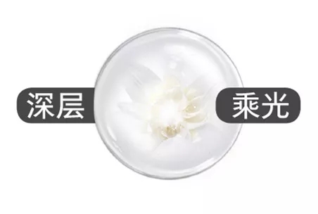 欧瑞莲护肤