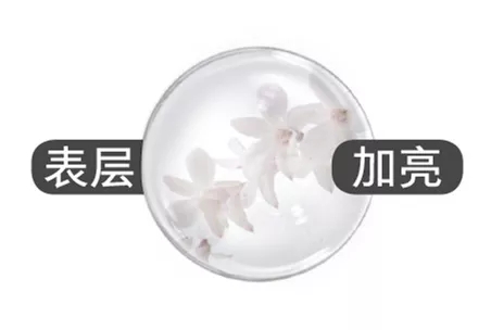 欧瑞莲护肤