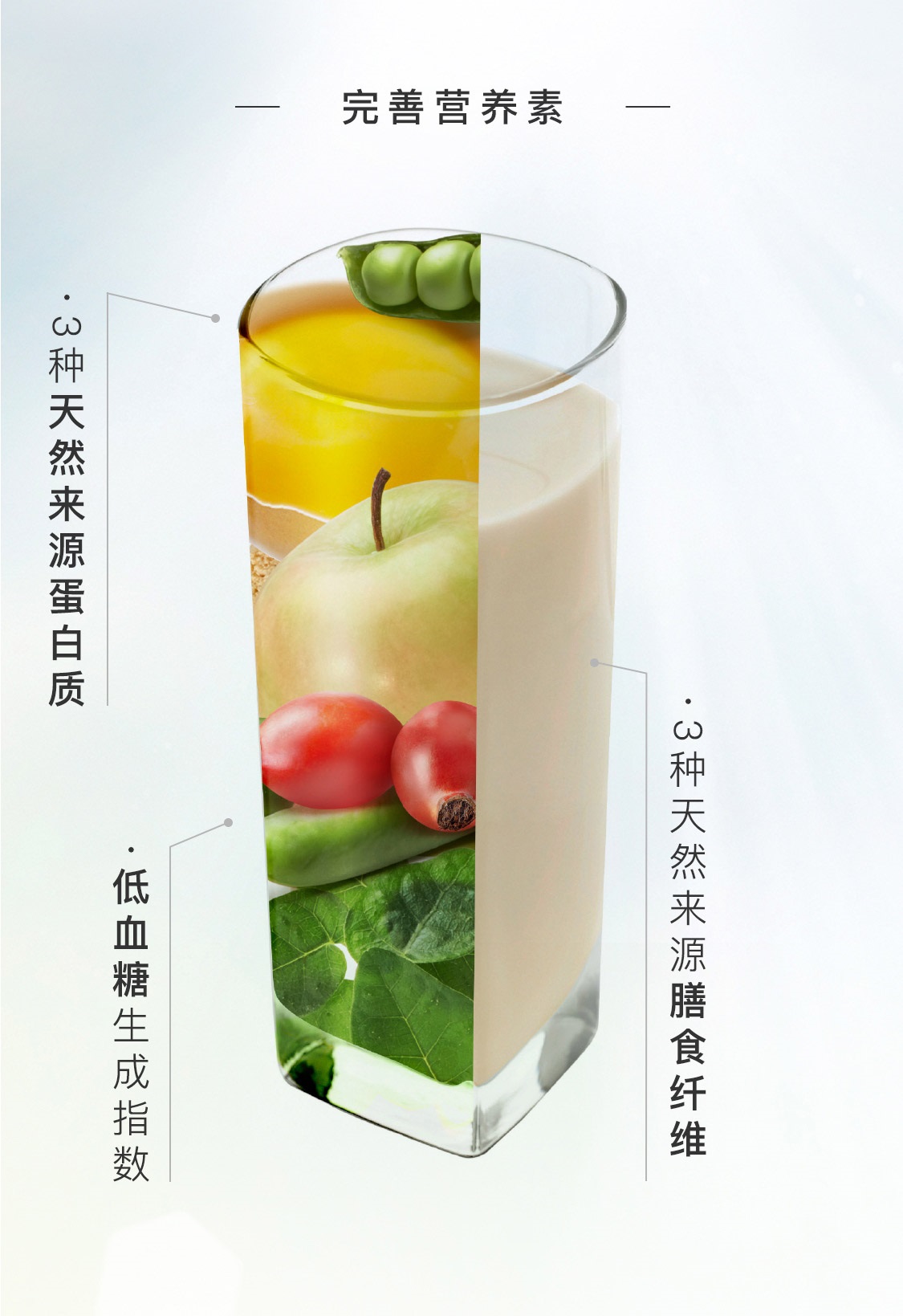 瑞尔姿复合蛋白粉(原味)