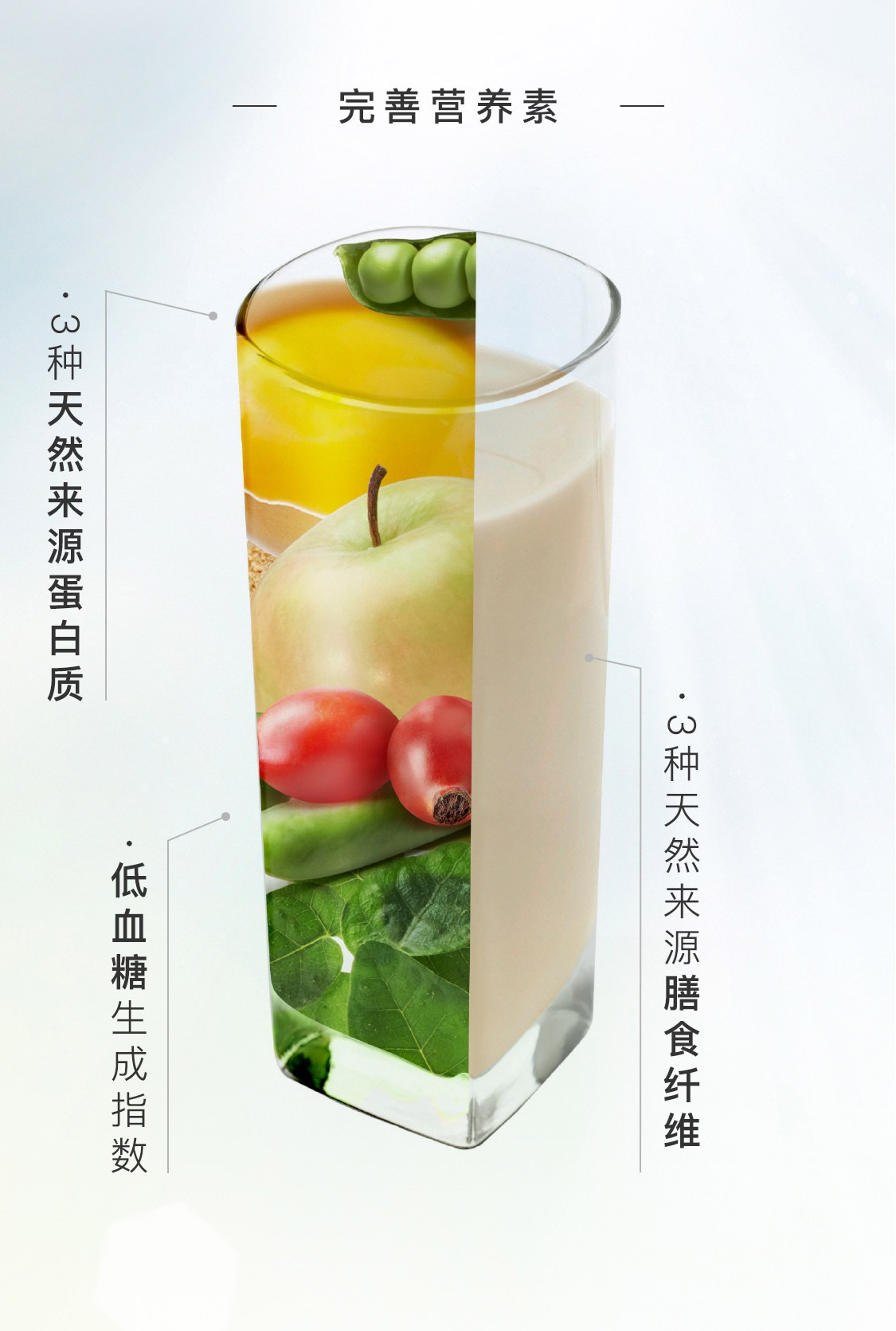 瑞尔姿复合蛋白粉（巧克力味）