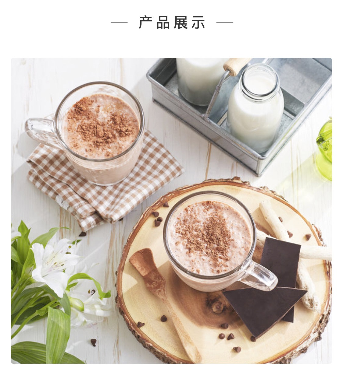 瑞尔姿复合蛋白粉（巧克力味）