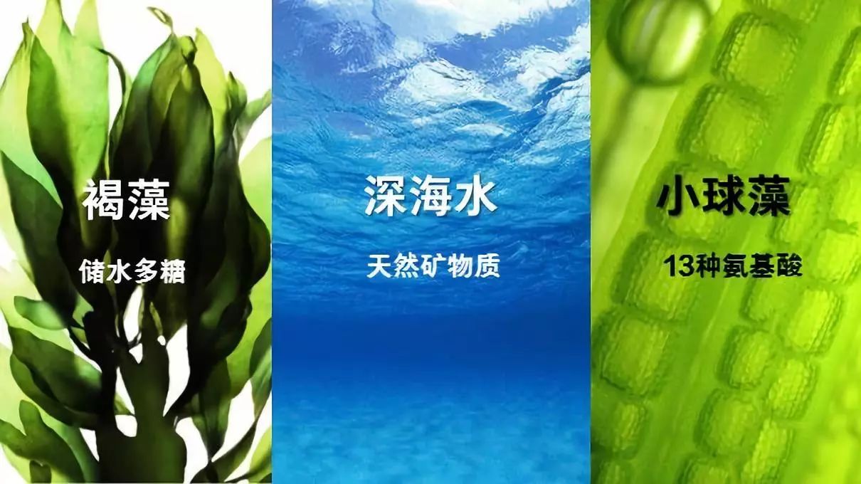 优萃佳颜