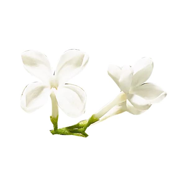 欧瑞莲香水 欧瑞莲香水